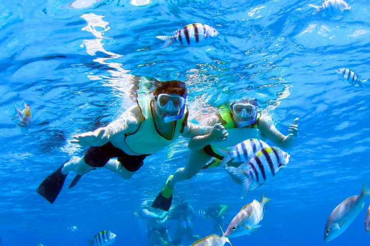 3 Zipline Adventure and 3.5 hour Afternoon Snorkel Cruise - Photo 1 of 25